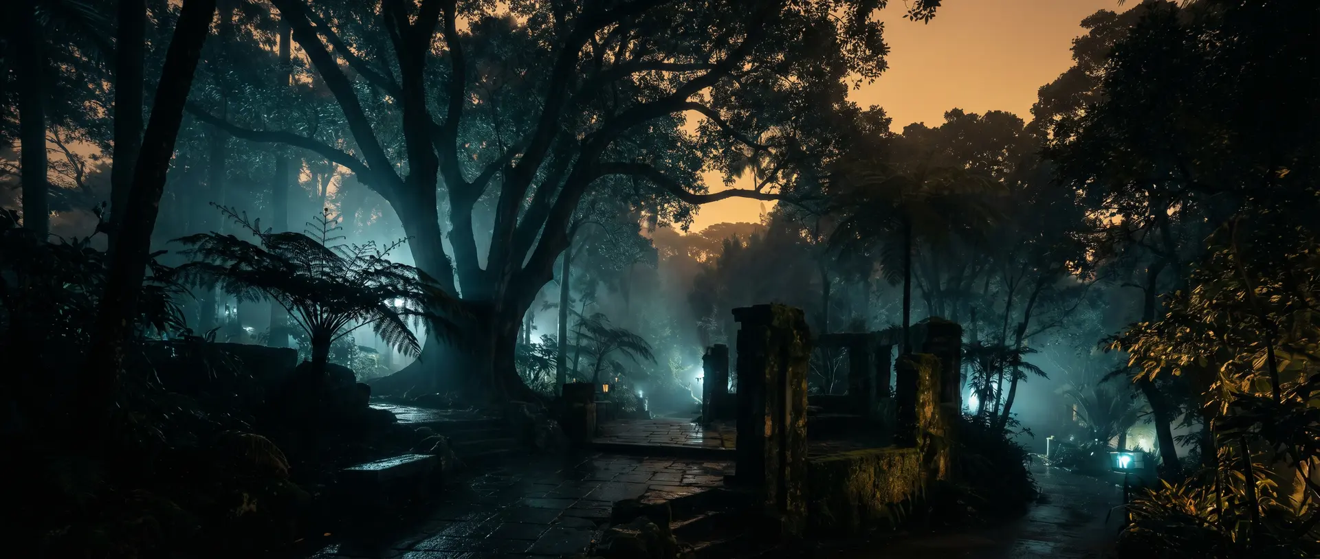 蘑菇视频肖申克的救赎植物视频